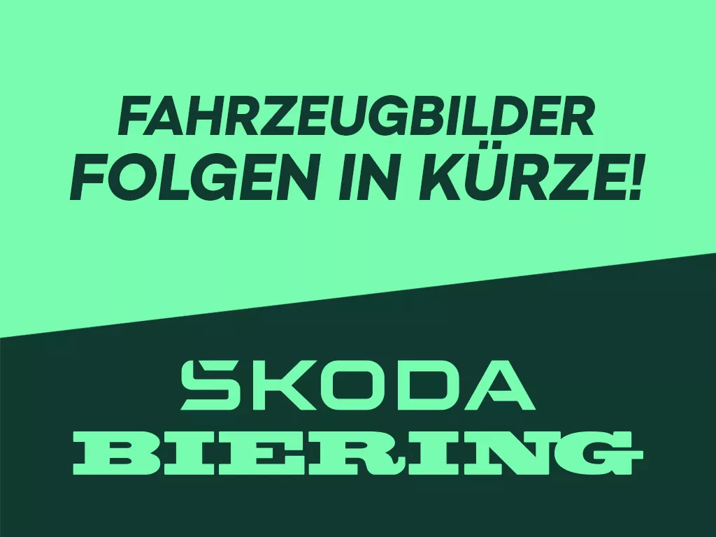 FABIA – Fabia 1.0 TSI Selection – Autohaus BIERING Neu- und Gebrauchtwagen