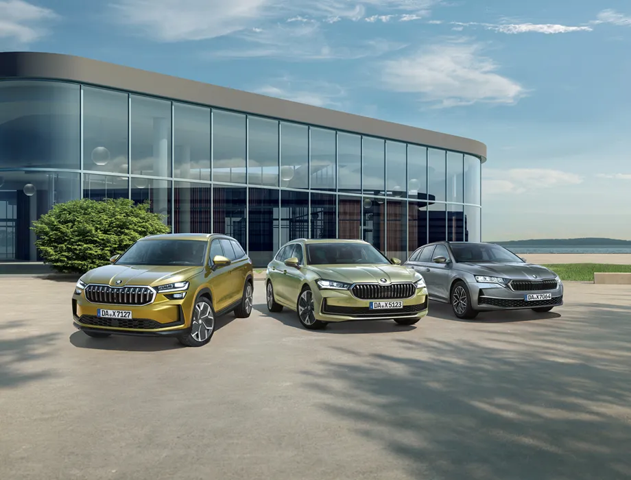 Geschäftskunden – Autohaus BIERING